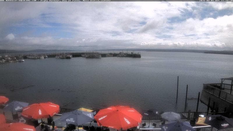Digby Harbour