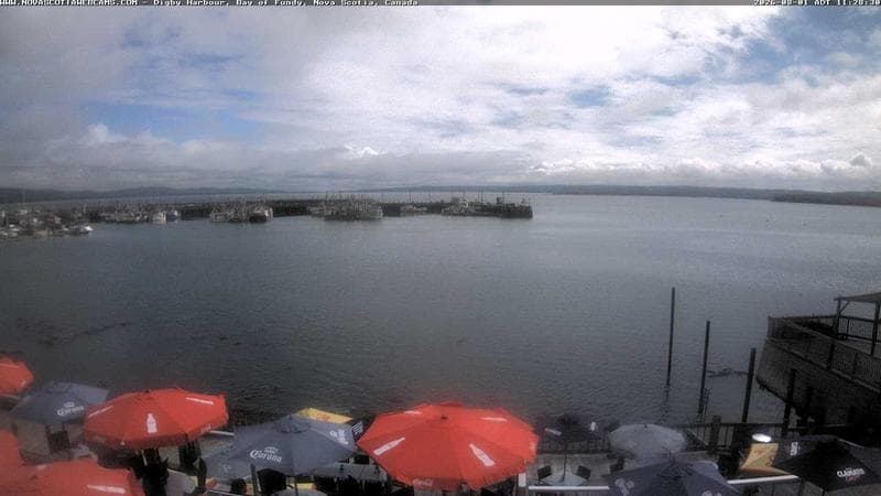 Digby Harbour