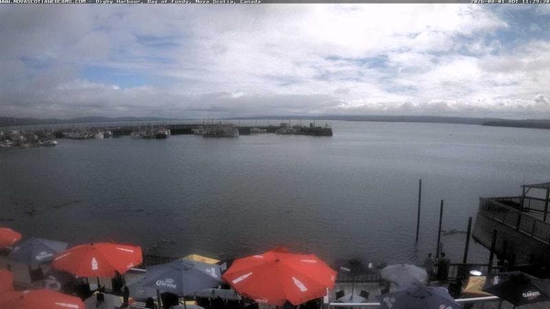 Digby Harbour