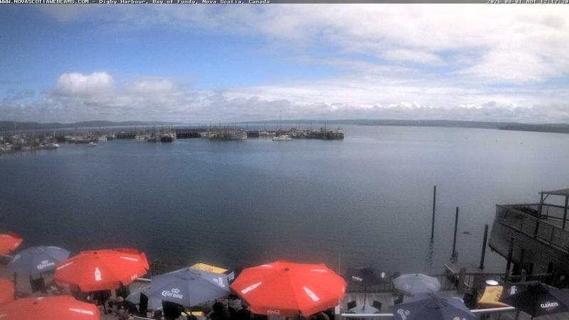 Digby Harbour