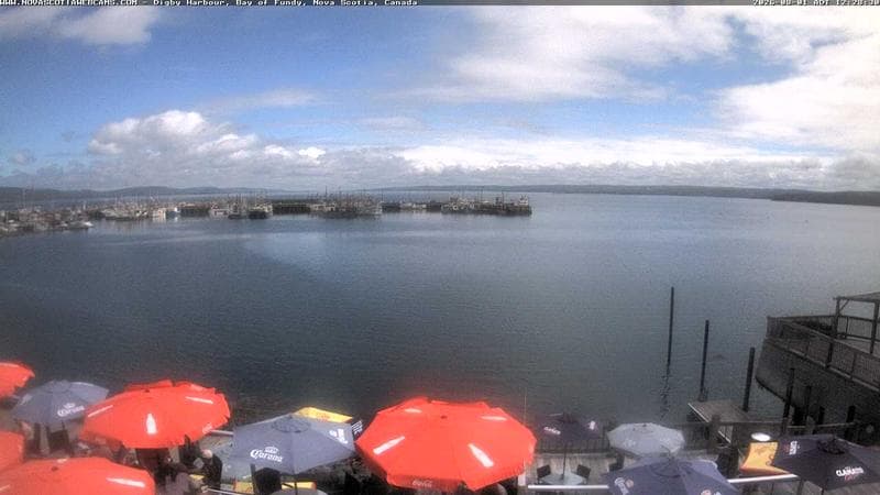 Digby Harbour