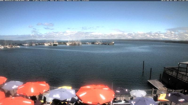 Digby Harbour