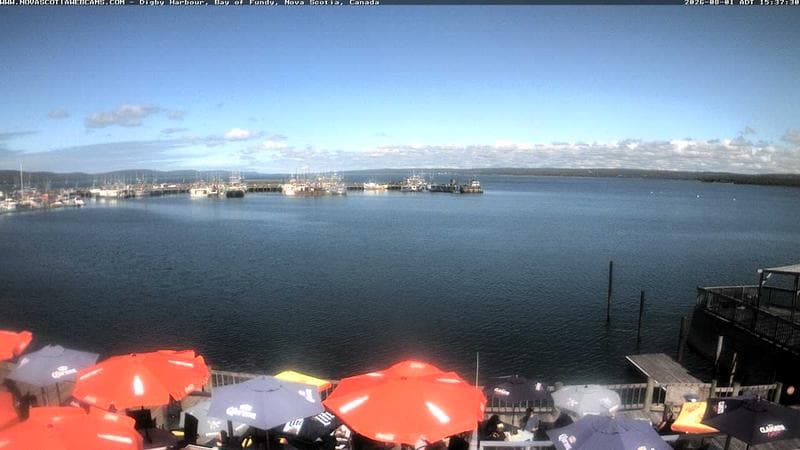 Digby Harbour