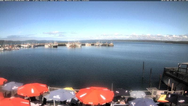 Digby Harbour