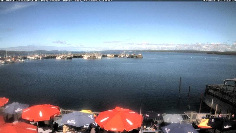 Digby Harbour