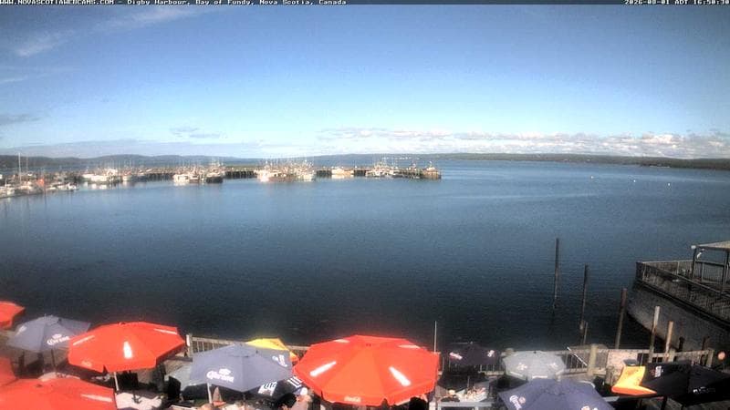Digby Harbour