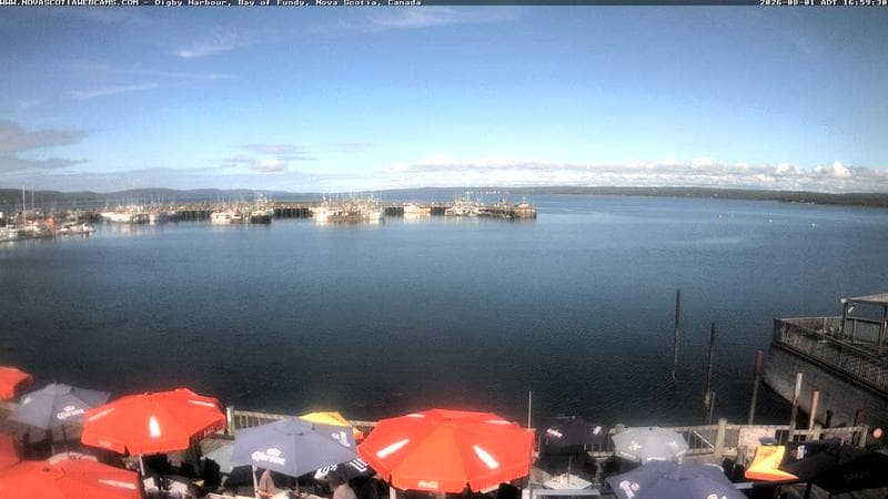 Digby Harbour