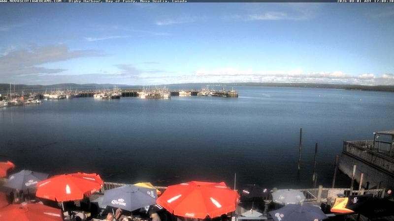 Digby Harbour