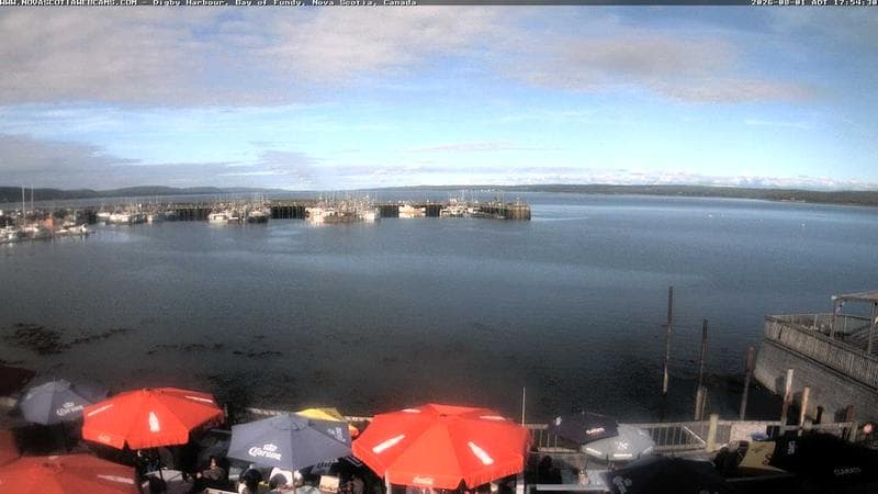 Digby Harbour
