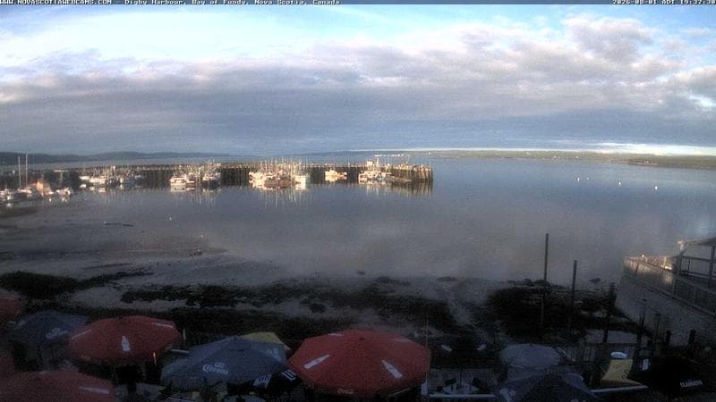 Digby Harbour
