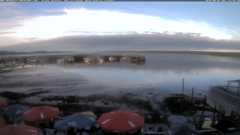 Digby Harbour