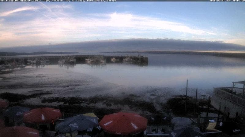Digby Harbour