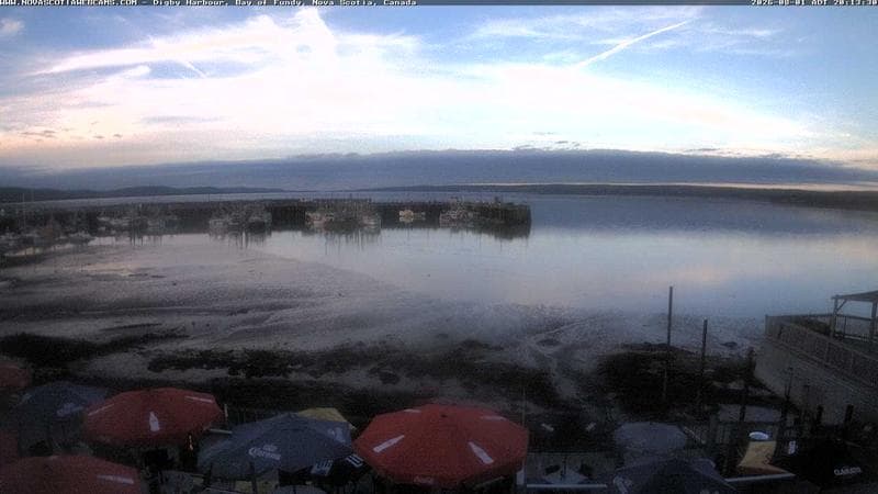 Digby Harbour