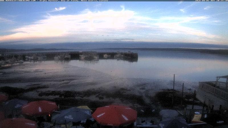 Digby Harbour