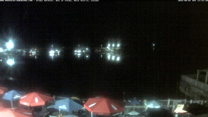 Digby Harbour