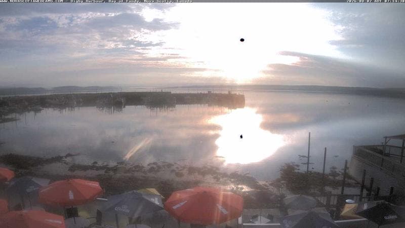 Digby Harbour