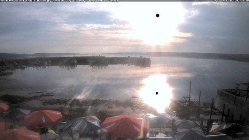 Digby Harbour