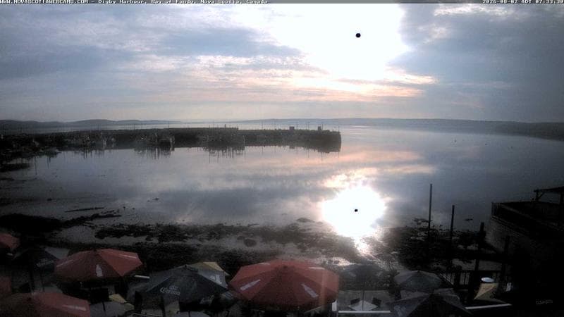 Digby Harbour