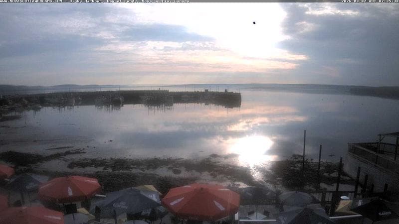 Digby Harbour