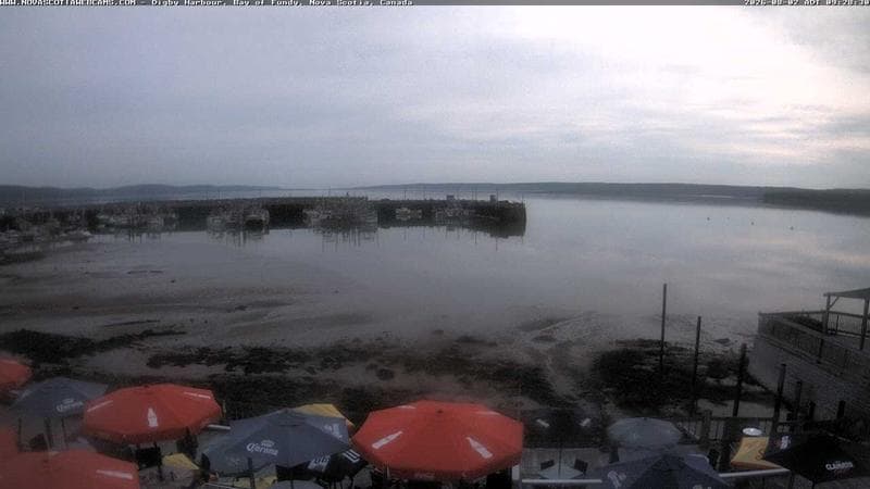 Digby Harbour