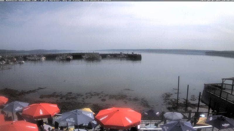 Digby Harbour