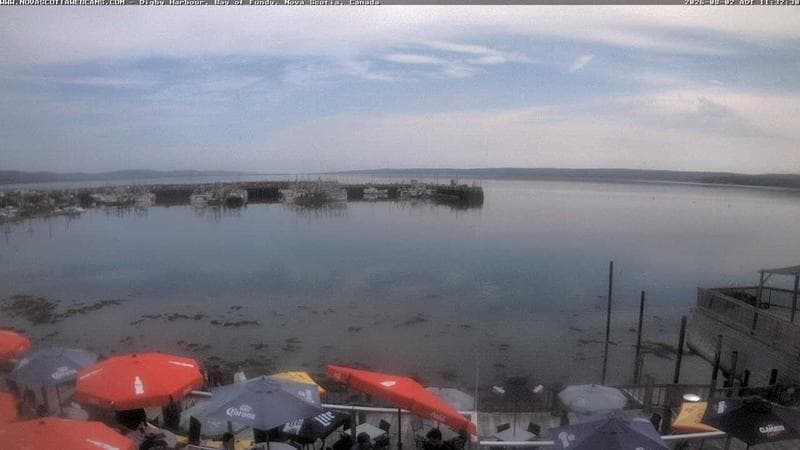 Digby Harbour