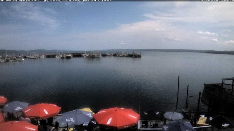 Digby Harbour