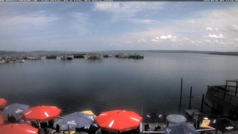 Digby Harbour