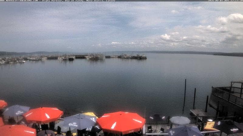 Digby Harbour