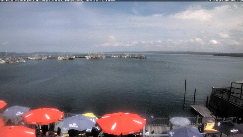 Digby Harbour