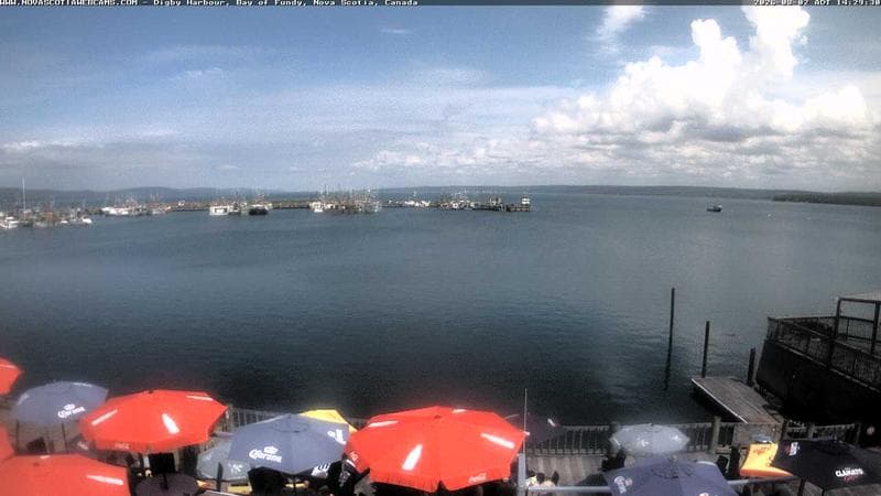 Digby Harbour