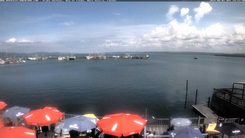 Digby Harbour