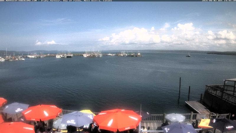 Digby Harbour