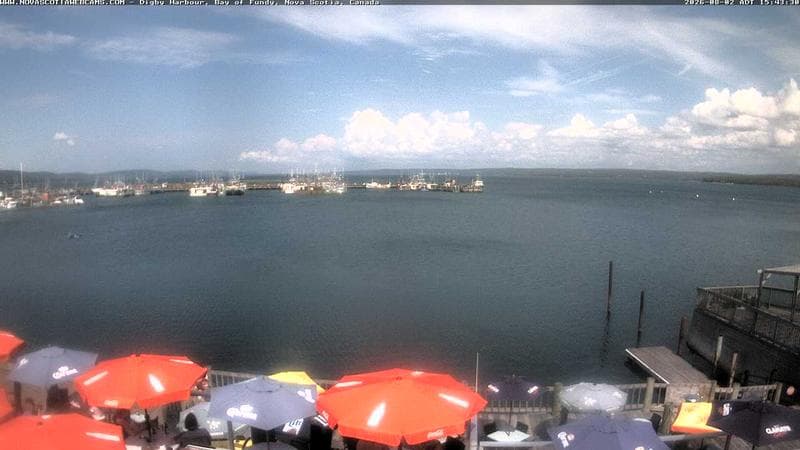 Digby Harbour