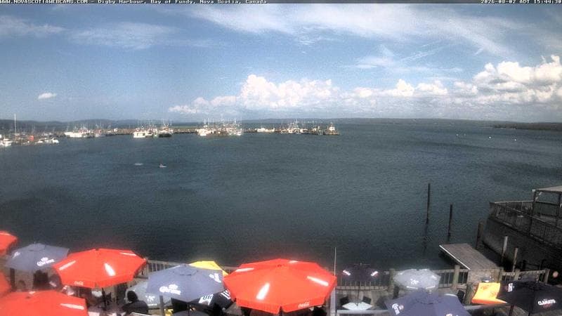 Digby Harbour