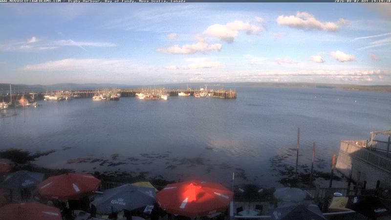 Digby Harbour