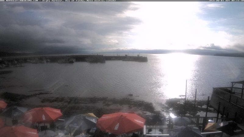 Digby Harbour