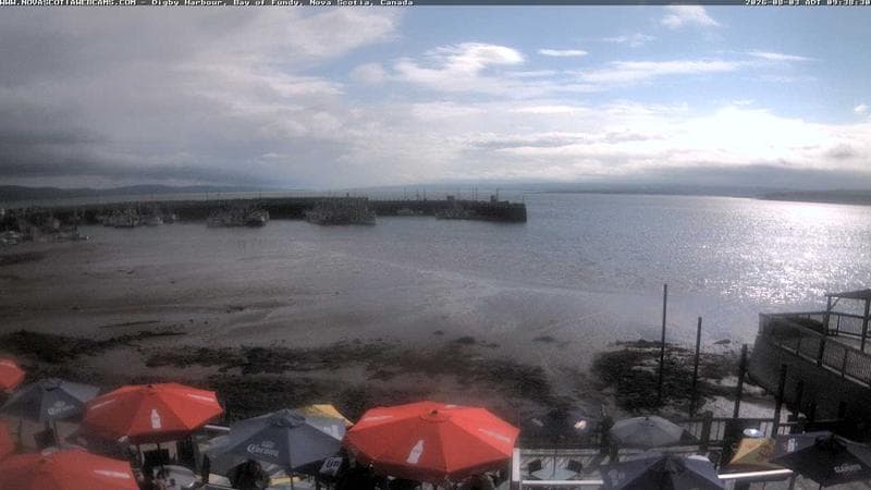 Digby Harbour