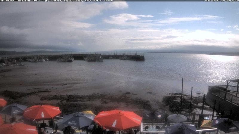 Digby Harbour