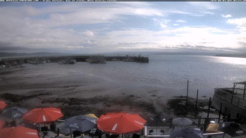 Digby Harbour