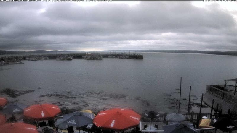 Digby Harbour