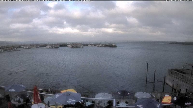 Digby Harbour