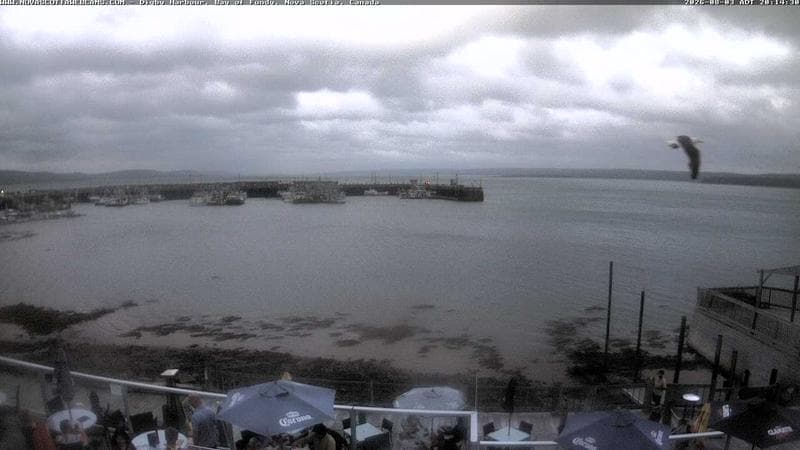 Digby Harbour