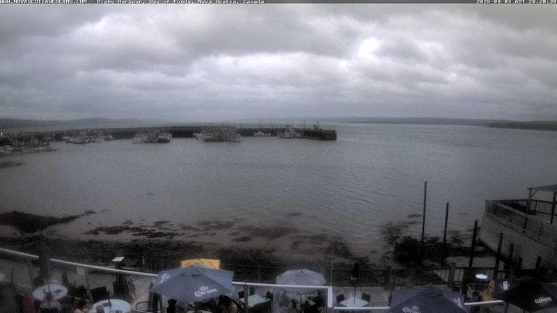 Digby Harbour
