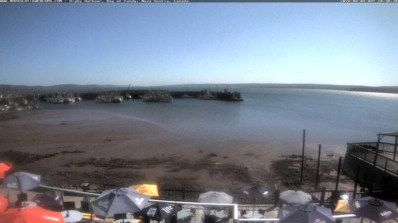 Digby Harbour