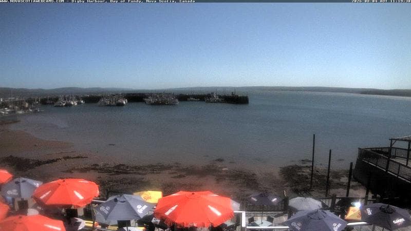 Digby Harbour