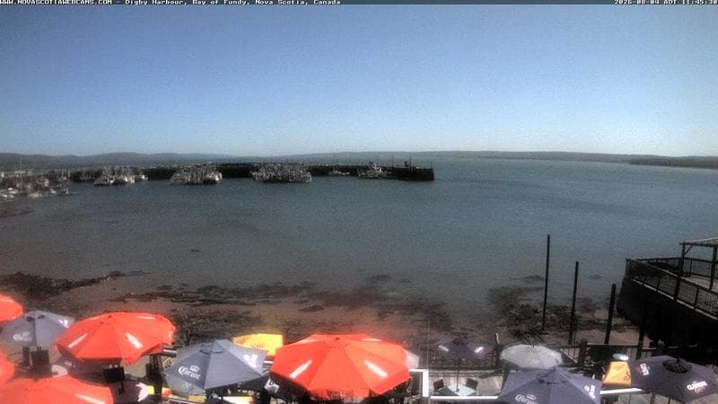 Digby Harbour