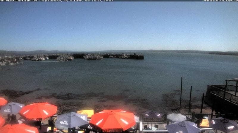 Digby Harbour