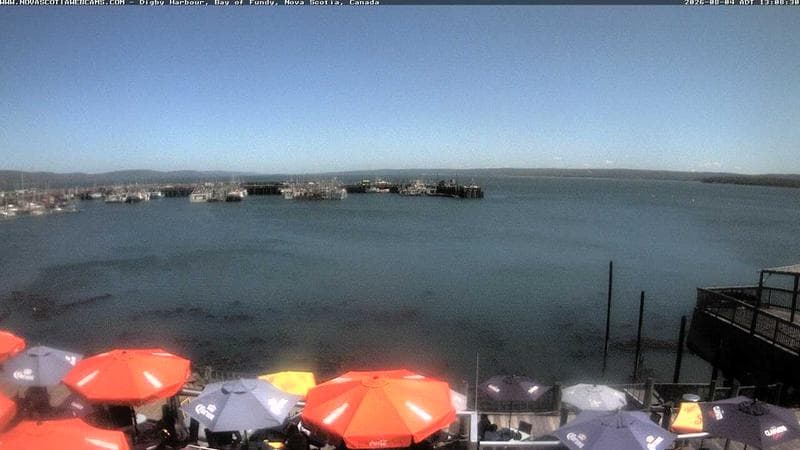 Digby Harbour