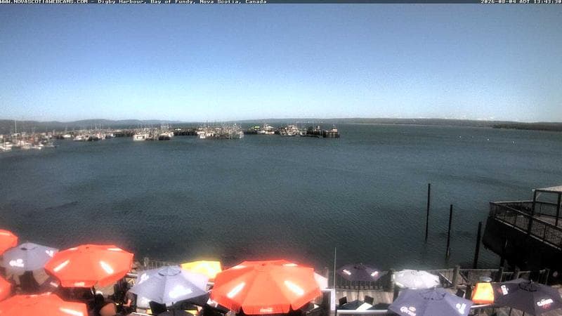 Digby Harbour